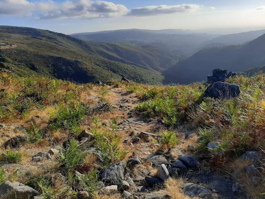 Casinha Do Sol - Natureza & Lazer - Serra Da Freita Арока Экстерьер фото